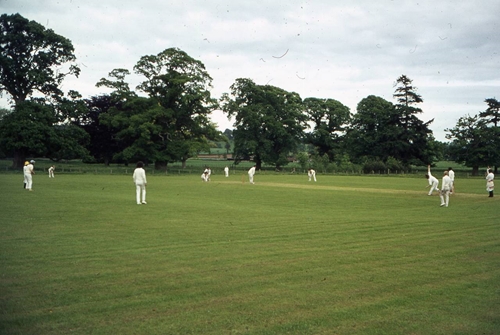 Cricket 1974